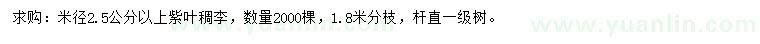 求購米徑2.5公分以上紫葉稠李
