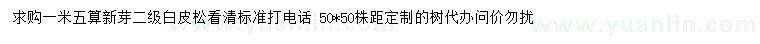 求購1.5米白皮松