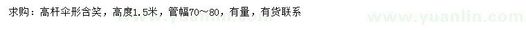 求購(gòu)高1.5米高桿傘形含笑