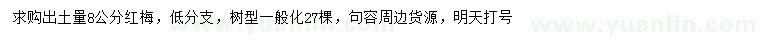 求購8公分紅梅