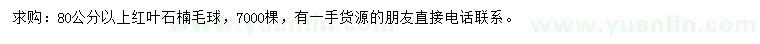 求購(gòu)80公分以上紅葉石楠球