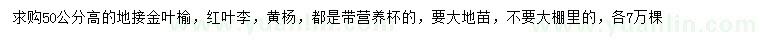 求購金葉榆、紅葉李、黃楊