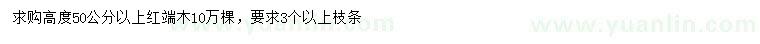 求購高50公分以上紅端木