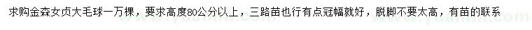 求購(gòu)高80公分以上金森女貞大毛球