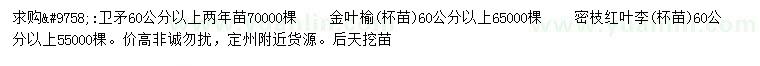 求購衛(wèi)矛、金葉榆、紅葉李