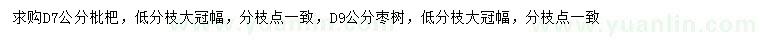 求購地徑7公分枇杷、9公分棗樹