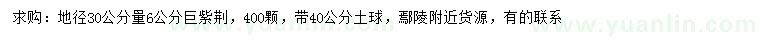 求購地徑30公分量6公分巨紫荊