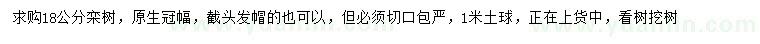求購18公分欒樹