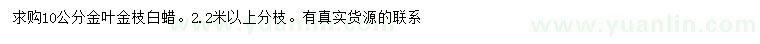 求購10公分金葉金枝白蠟