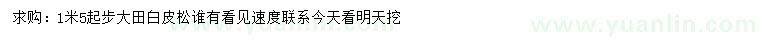 求購(gòu)1米5起步大田白皮松