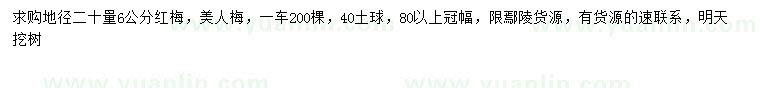 求購地徑20公分量6公分紅梅、美人梅