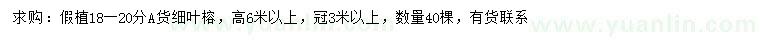 求購(gòu)18-20分細(xì)葉榕