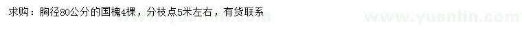 求購(gòu)胸徑80公分國(guó)槐