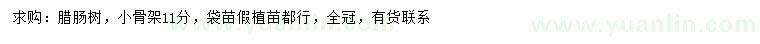 求購11公分臘腸樹
