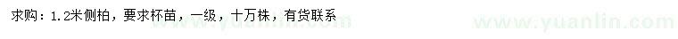 求購1.2米側(cè)柏