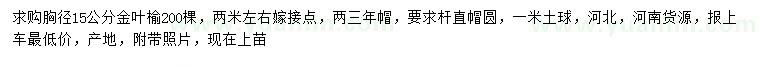 求購胸徑15公分金葉榆
