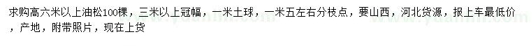 求購高6米以上油松