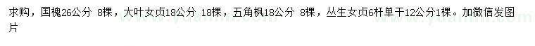 求購國(guó)槐、大葉女貞、五角楓等