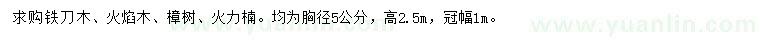 求購鐵刀木、火焰木、樟樹等