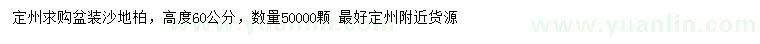 求購高60公分沙地柏