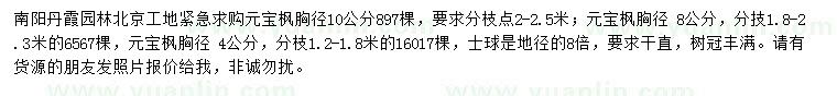 求購胸徑4、8、10公分元寶楓