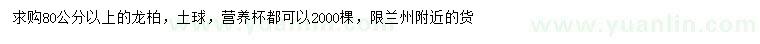求購(gòu)80公分以上龍柏