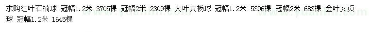 求購紅葉石楠球、大葉黃楊球、金葉女貞球