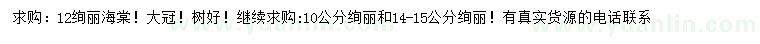 求購10、12、14-15公分絢麗海棠