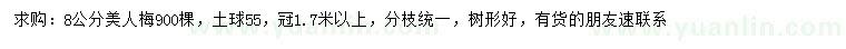 求購(gòu)8公分美人梅