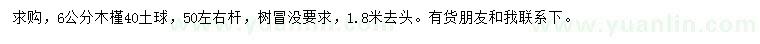 求購6公分木槿