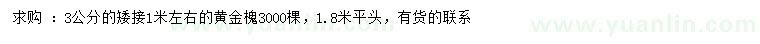 求購3公分矮接黃金槐