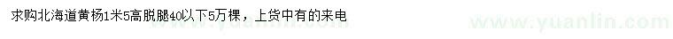 求購(gòu)高1.5米北海道黃楊