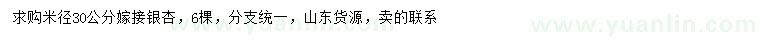 求購米徑30公分嫁接銀杏