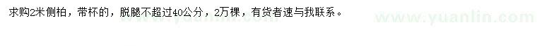求購2米側(cè)柏