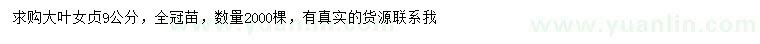 求購9公分大葉女貞