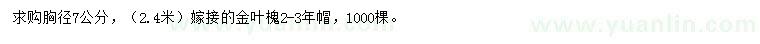 求購胸徑7公分高接金葉槐