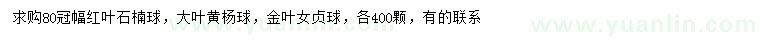 求購紅葉石楠球、大葉黃楊球、金葉女貞球