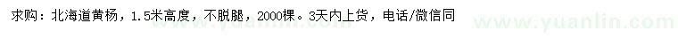 求購高1.5米北海道黃楊