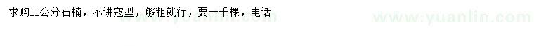 求購11公分石楠