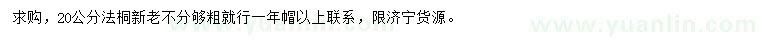 求購(gòu)20公分法桐