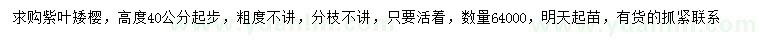 求購高40公分起步紫葉矮櫻
