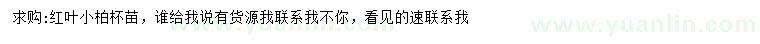 求購紅葉小柏