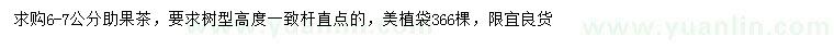 求購(gòu)6-7公分助果茶