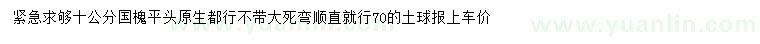 求購10公分國槐