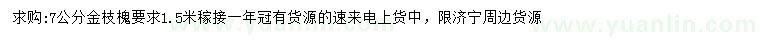 求購7公分金枝槐