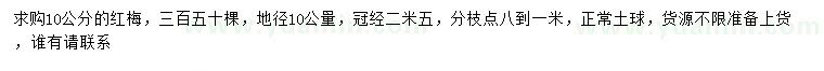 求購地徑10公量10公分紅梅