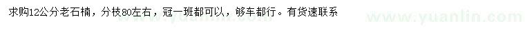 求購12公分老石楠