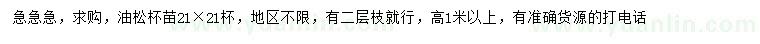 求購(gòu)高1米以上油松