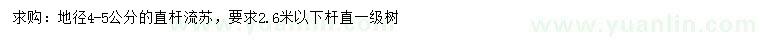 求購地徑4-5公分直桿流蘇