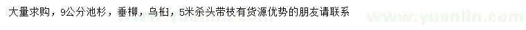 求購池杉、垂柳、烏桕